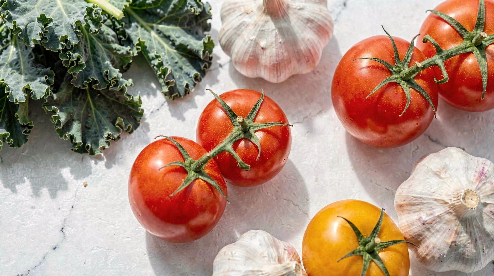 Ingredientes frescos da dieta mediterrânica